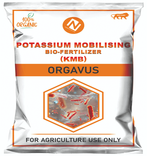 Potassium Mobilising Bio-Fertilizer (Kmb)