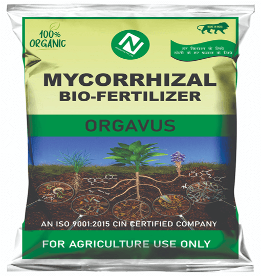 Mycorrhizal Biofertlizer